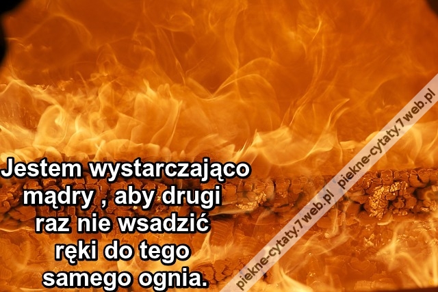 Jestem wystarczająco mądry , aby drugi raz nie wsadzić ręki do tego samego ognia.