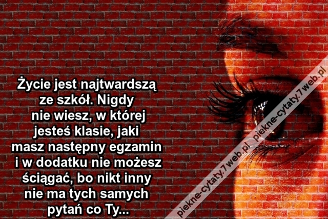 Życie jest najtwardszą ze szkół. Nigdy nie wiesz, w której jesteś klasie, jaki masz następny egzamin i w dodatku nie możesz ściągać, bo nikt inny nie ma tych samych pytań co Ty...