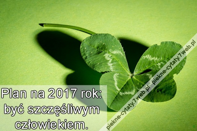 Plan na 2017 rok: być szczęśliwym człowiekiem.