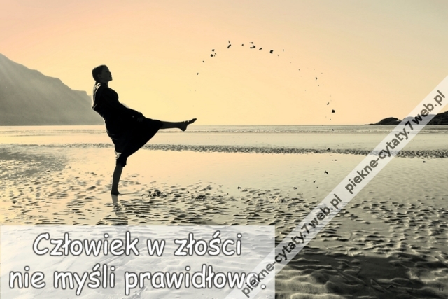 Człowiek w złości nie myśli prawidłowo.