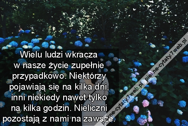 Wielu ludzi wkracza w nasze życie zupełnie przypadkowo. Niektórzy pojawiają się na kilka dni, inni niekiedy nawet tylko na kilka godzin. Nieliczni pozostają z nami na zawsze.