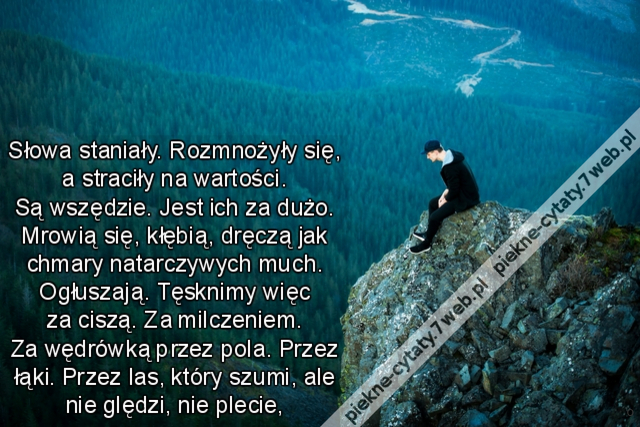 Słowa staniały. Rozmnożyły się, a straciły na wartości. Są wszędzie. Jest ich za dużo. Mrowią się, kłębią, dręczą jak chmary natarczywych much. Ogłuszają. Tęsknimy więc za ciszą. Za milczeniem. Za wędrówką przez pola. Przez łąki. Przez las, który szumi, a