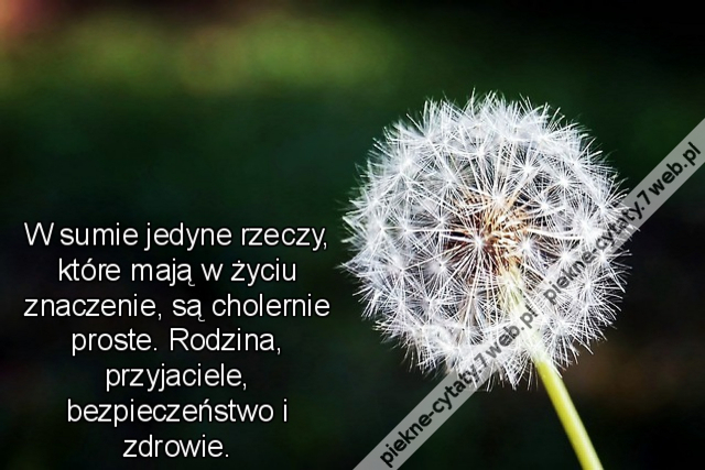 W sumie jedyne rzeczy, które mają w życiu znaczenie, są cholernie proste. Rodzina, przyjaciele, bezpieczeństwo i zdrowie.