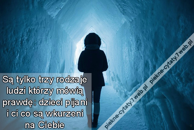 Są tylko trzy rodzaje ludzi którzy mówią prawdę: dzieci pijani i ci co są wkurzeni na Ciebie