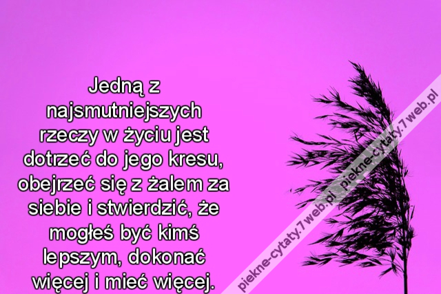 Jedną z najsmutniejszych rzeczy w życiu jest dotrzeć do jego kresu, obejrzeć się z żalem za siebie i stwierdzić, że mogłeś być kimś lepszym, dokonać więcej i mieć więcej.