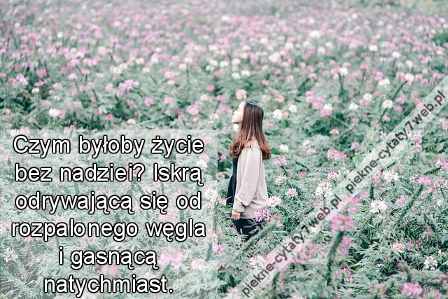 Czym byłoby życie bez nadziei? Iskrą odrywającą się od rozpalonego węgla i gasnącą natychmiast.