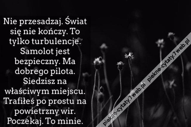 Nie przesadzaj. Świat się nie kończy. To tylko turbulencje. Samolot jest bezpieczny. Ma dobrego pilota. Siedzisz na właściwym miejscu. Trafiłeś po prostu na powietrzny wir. Poczekaj. To minie.