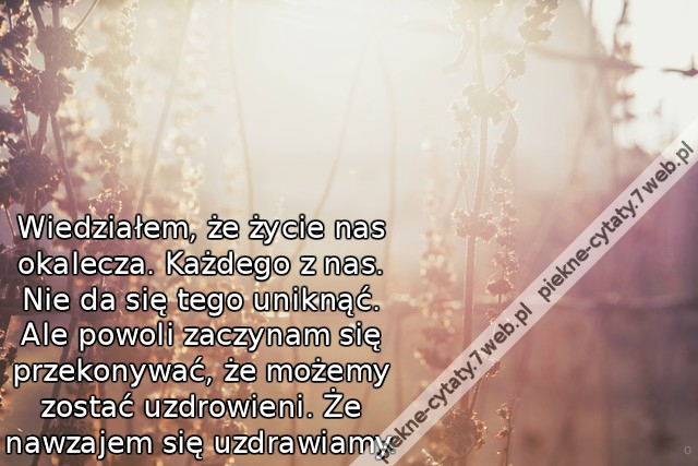 Wiedziałem, że życie nas okalecza. Każdego z nas. Nie da się tego uniknąć. Ale powoli zaczynam się przekonywać, że możemy zostać uzdrowieni. Że nawzajem się uzdrawiamy.