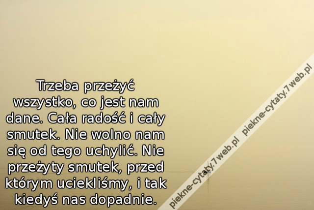 Trzeba przeżyć wszystko, co jest nam dane. Cała radość i cały smutek. Nie wolno nam się od tego uchylić. Nie przeżyty smutek, przed którym uciekliśmy, i tak kiedyś nas dopadnie.