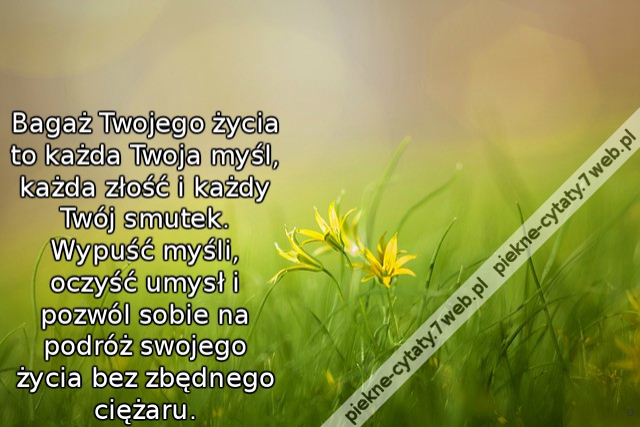 Bagaż Twojego życia to każda Twoja myśl, każda złość i każdy Twój smutek. Wypuść myśli, oczyść umysł i pozwól sobie na podróż swojego życia bez zbędnego ciężaru.