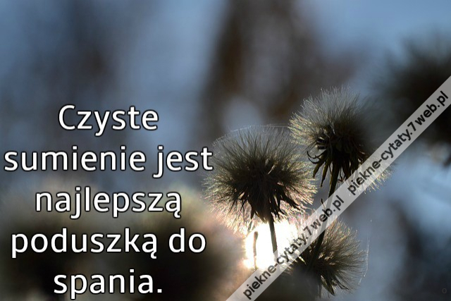 Czyste sumienie jest najlepszą poduszką do spania.