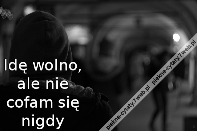 Idę wolno, ale nie cofam się nigdy