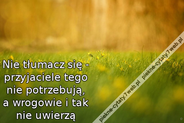 Nie tłumacz się - przyjaciele tego nie potrzebują, a wrogowie i tak nie uwierzą