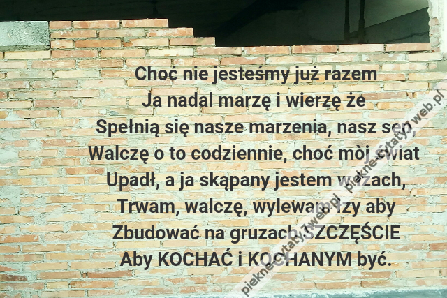 Choć nie jesteśmy już razem\r\nJa nadal marzę i wierzę że \r\nSpełnią się nasze marzenia, nasz sen,\r\nWalczę o to codziennie, choć mòj świat \r\nUpadł, a ja skąpany jestem w łzach,\r\nTrwam, walczę, wylewam łzy aby\r\nZbudować na gruzach SZCZĘŚCIE\r\nAby KOCHAĆ i KOCHANYM być.