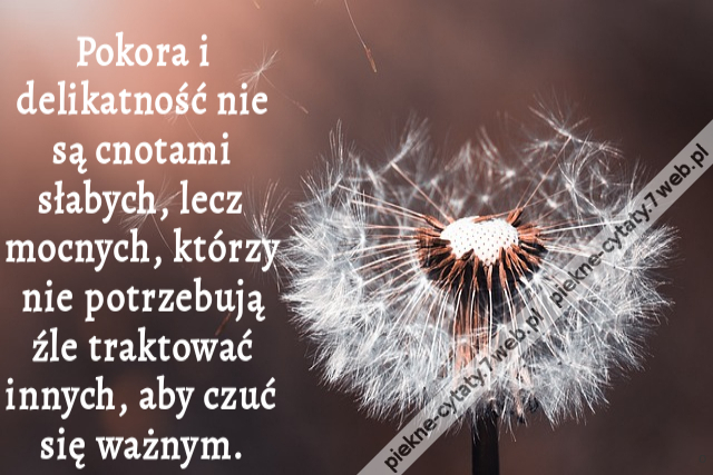 Pokora i delikatność nie są cnotami słabych, lecz mocnych, którzy nie potrzebują źle traktować innych, aby czuć się ważnym.