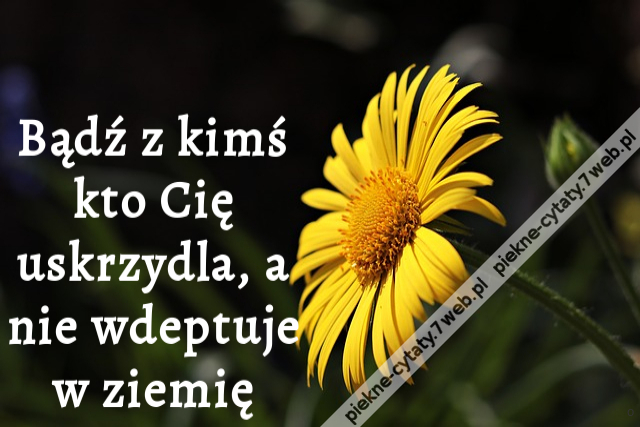 Bądź z kimś kto Cię uskrzydla, a nie wdeptuje w ziemię