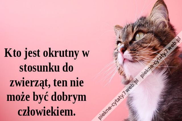 Kto jest okrutny w stosunku do zwierząt, ten nie może być dobrym człowiekiem.