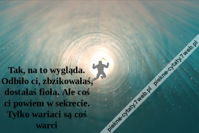 Tak, na to wygląda. Odbiło ci, zbzikowałaś, dostałaś fioła. Ale coś ci powiem w sekrecie. Tylko wariaci są coś warci