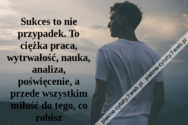 Sukces to nie przypadek. To ciężka praca, wytrwałość, nauka, analiza, poświęcenie, a przede wszystkim miłość do tego, co robisz