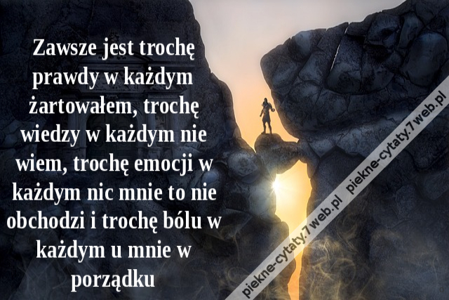 Zawsze jest trochę prawdy w każdym żartowałem, trochę wiedzy w każdym nie wiem, trochę emocji w każdym nic mnie to nie obchodzi i trochę bólu w każdym u mnie w porządku