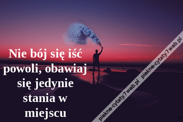 Nie bój się iść powoli, obawiaj się jedynie stania w miejscu