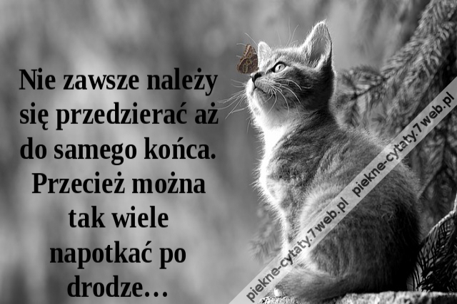 Nie zawsze należy się przedzierać aż do samego końca. Przecież można tak wiele napotkać po drodze…