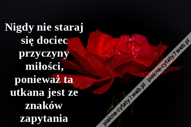 Nigdy nie staraj się dociec przyczyny miłości, ponieważ ta utkana jest ze znaków zapytania