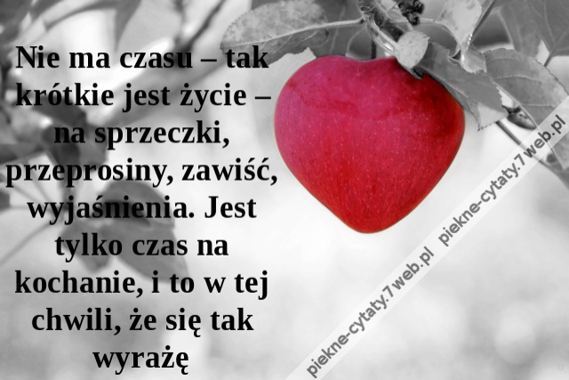 Nie ma czasu – tak krótkie jest życie – na sprzeczki, przeprosiny, zawiść, wyjaśnienia. Jest tylko czas na kochanie, i to w tej chwili, że się tak wyrażę