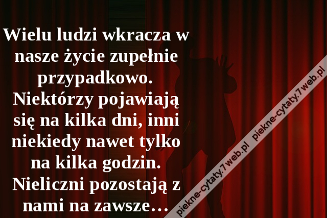 Wielu ludzi wkracza w nasze życie zupełnie przypadkowo. Niektórzy pojawiają się na kilka dni, inni niekiedy nawet tylko na kilka godzin. Nieliczni pozostają z nami na zawsze…