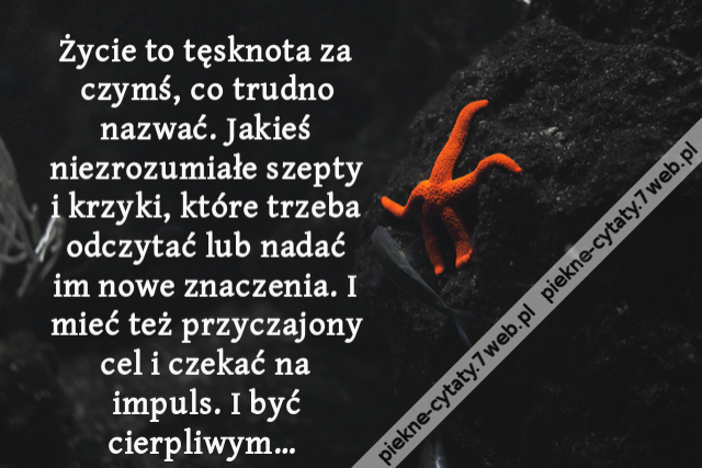 Życie to tęsknota za czymś, co trudno nazwać. Jakieś niezrozumiałe szepty i krzyki, które trzeba odczytać lub nadać im nowe znaczenia. I mieć też przyczajony cel i czekać na impuls. I być cierpliwym…