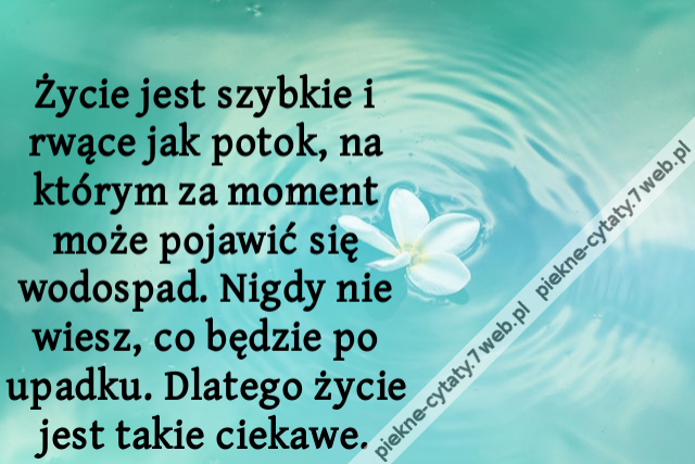 Życie jest szybkie i rwące jak potok, na którym za moment może pojawić się wodospad. Nigdy nie wiesz, co będzie po upadku. Dlatego życie jest takie ciekawe.