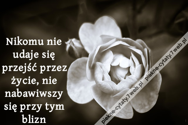 Nikomu nie udaje się przejść przez życie, nie nabawiwszy się przy tym blizn