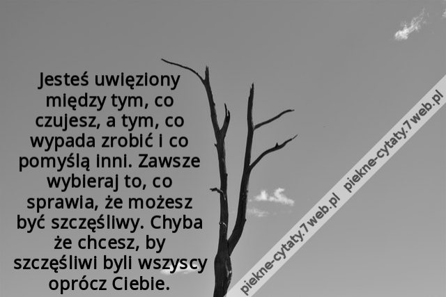 Jesteś uwięziony między tym, co czujesz, a tym, co wypada zrobić i co pomyślą inni. Zawsze wybieraj to, co sprawia, że możesz być szczęśliwy. Chyba że chcesz, by szczęśliwi byli wszyscy oprócz Ciebie.