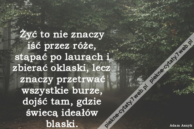 Żyć to nie znaczy iść przez róże, stąpać po laurach i zbierać oklaski, lecz znaczy przetrwać wszystkie burze, dojść tam, gdzie świecą ideałów blaski.