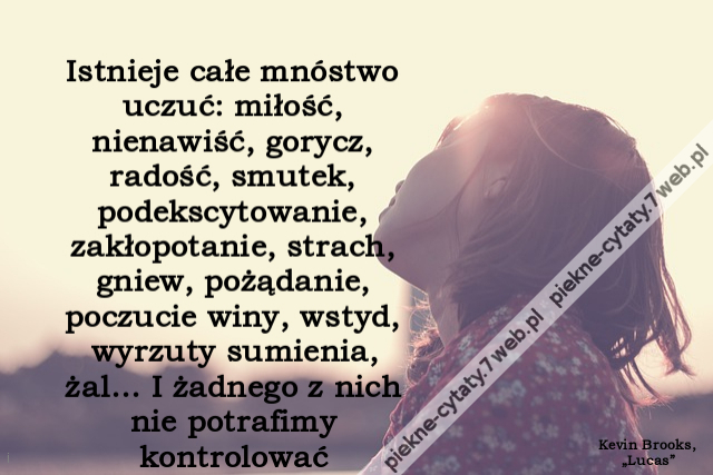 Istnieje całe mnóstwo uczuć: miłość, nienawiść, gorycz, radość, smutek, podekscytowanie, zakłopotanie, strach, gniew, pożądanie, poczucie winy, wstyd, wyrzuty sumienia, żal… I żadnego z nich nie potrafimy kontrolować