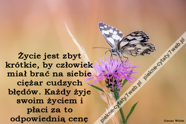 Życie jest zbyt krótkie, by człowiek miał brać na siebie ciężar cudzych błędów. Każdy żyje swoim życiem i płaci za to odpowiednią cenę