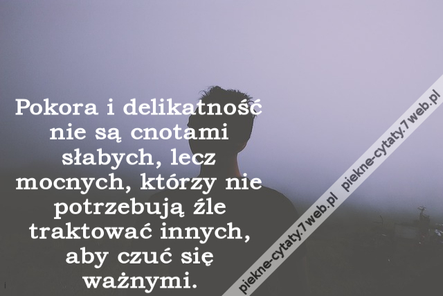 Pokora i delikatność nie są cnotami słabych, lecz mocnych, którzy nie potrzebują źle traktować innych, aby czuć się ważnymi.