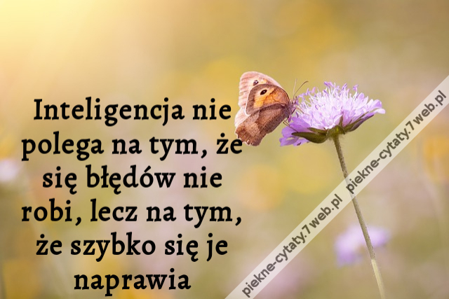 Inteligencja nie polega na tym, że się błędów nie robi, lecz na tym, że szybko się je naprawia