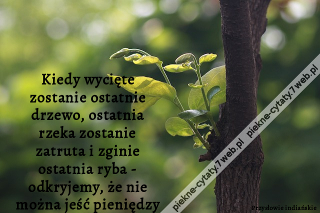 Kiedy wycięte zostanie ostatnie drzewo, ostatnia rzeka zostanie zatruta i zginie ostatnia ryba - odkryjemy, że nie można jeść pieniędzy.