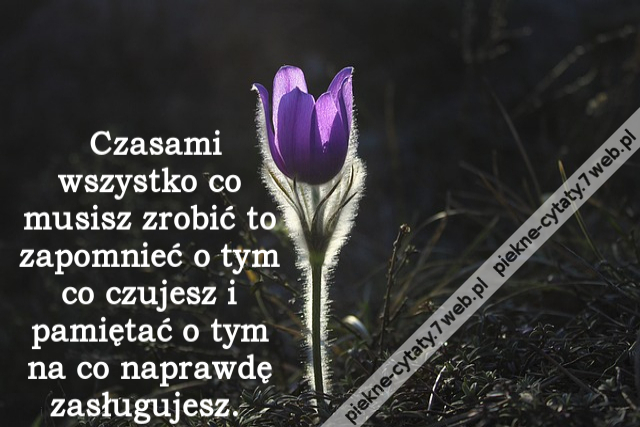 Czasami wszystko co musisz zrobić to zapomnieć o tym co czujesz i pamiętać o tym na co naprawdę zasługujesz.