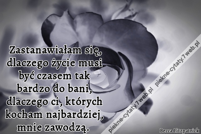 Zastanawiałam się, dlaczego życie musi być czasem tak bardzo do bani, dlaczego ci, których kocham najbardziej, mnie zawodzą.