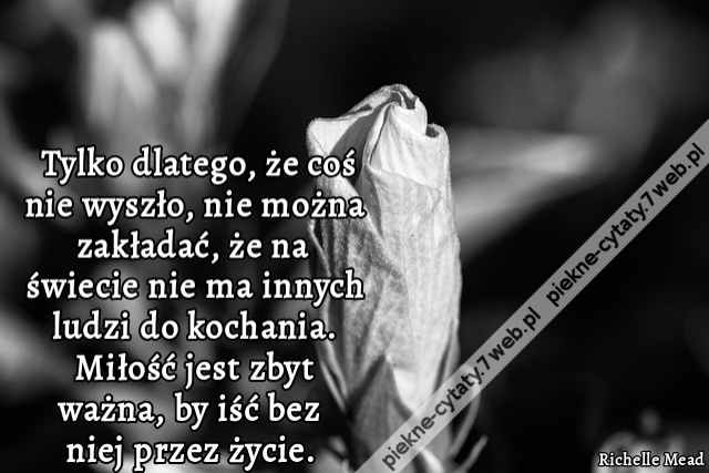 Tylko dlatego, że coś nie wyszło, nie można zakładać, że na świecie nie ma innych ludzi do kochania. Miłość jest zbyt ważna, by iść bez niej przez życie.