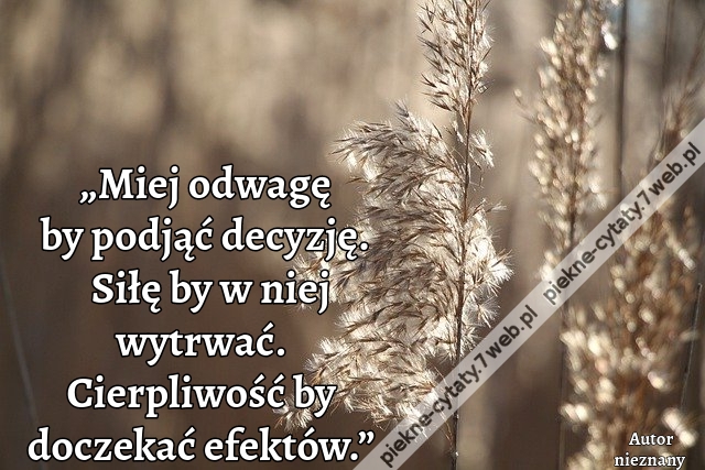 „Miej odwagę by podjąć decyzję. Siłę by w niej wytrwać. Cierpliwość by doczekać efektów.”