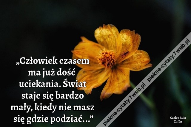 „Człowiek czasem ma już dość uciekania. Świat staje się bardzo mały, kiedy nie masz się gdzie podziać...”