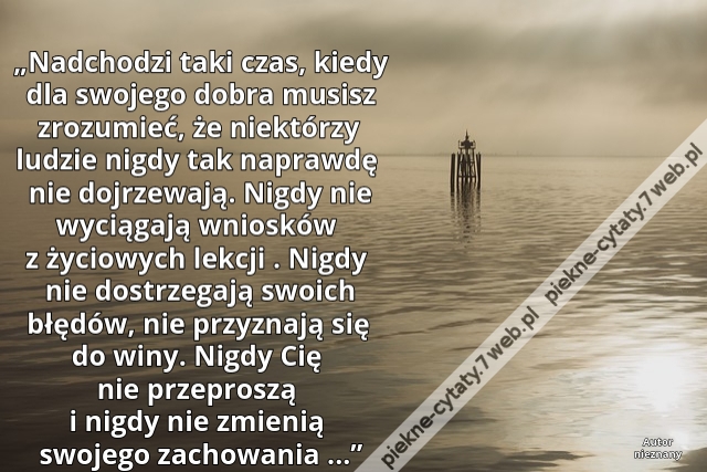 „Nadchodzi taki czas, kiedy dla swojego dobra musisz zrozumieć, że niektórzy ludzie nigdy tak naprawdę nie dojrzewają. Nigdy nie wyciągają wniosków z życiowych lekcji . Nigdy nie dostrzegają swoich błędów , nie przyznają się do winy. Nigdy Cię nie przepro