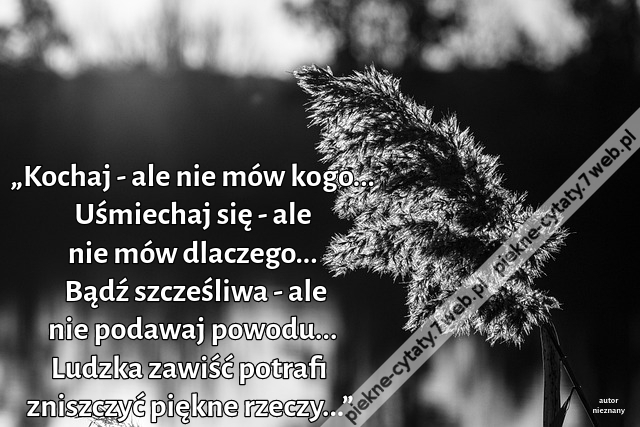 „Kochaj - ale nie mów kogo... Uśmiechaj się - ale nie mów dlaczego... Bądź szcześliwa - ale nie podawaj powodu...  Ludzka zawiść potrafi zniszczyć piękne rzeczy...”