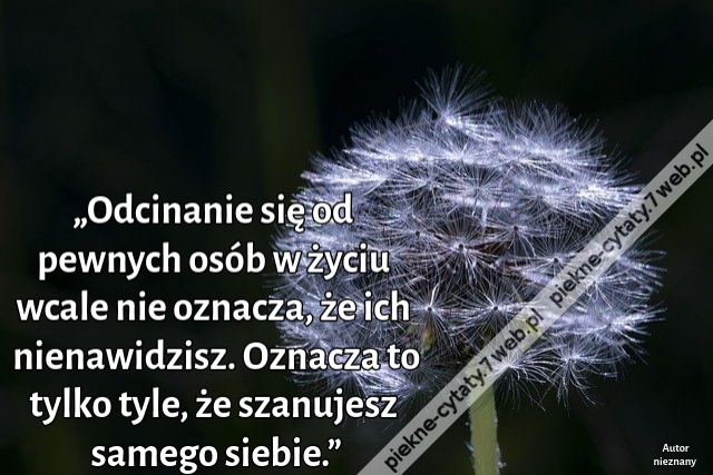 „Odcinanie się od pewnych osób w życiu wcale nie oznacza, że ich nienawidzisz. Oznacza to tylko tyle, że szanujesz samego siebie.”