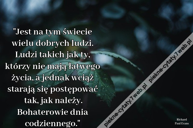 Jest na tym świecie wielu dobrych ludzi. Ludzi takich jak ty, którzy nie mają łatwego życia, a jednak wciąż starają się postępować tak, jak należy. Bohaterowie dnia codziennego