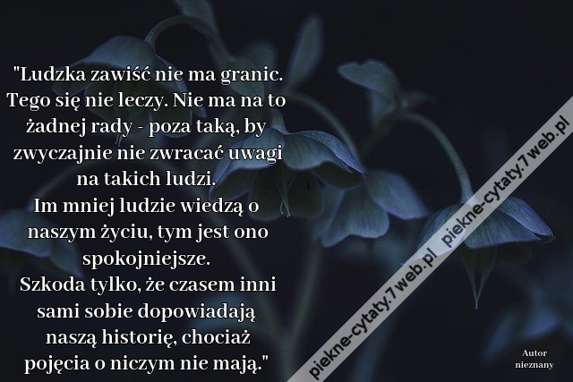 Ludzka zawiść nie ma granic. Tego się nie leczy. Nie ma na to żadnej rady - poza taką, by zwyczajnie nie zwracać uwagi na takich ludzi. Im mniej ludzie wiedzą o naszym życiu, tym jest ono spokojniejsze. Szkoda tylko, że czasem inni sami sobie dopowiadają