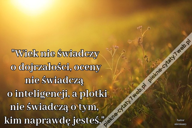 Wiek nie świadczy o dojrzałości, oceny nie świadczą o inteligencji, a plotki nie świadczą o tym, kim naprawdę jesteś.